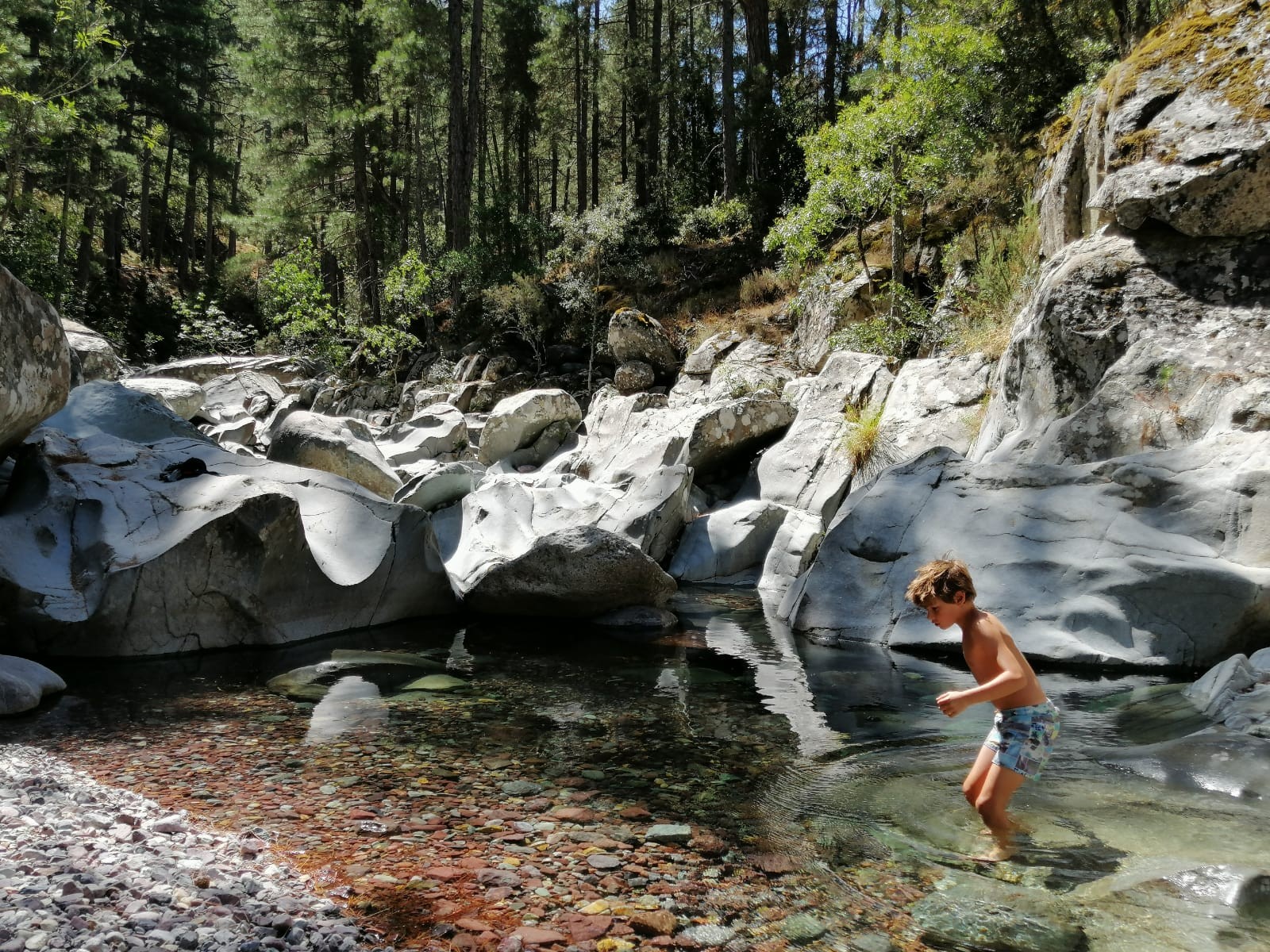 La foresta di Tartagine