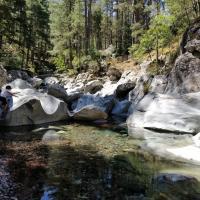 La foresta di Tartagine