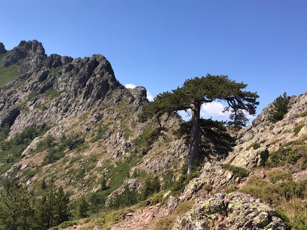 Forêt de Melaja - Bocca di Pozzi