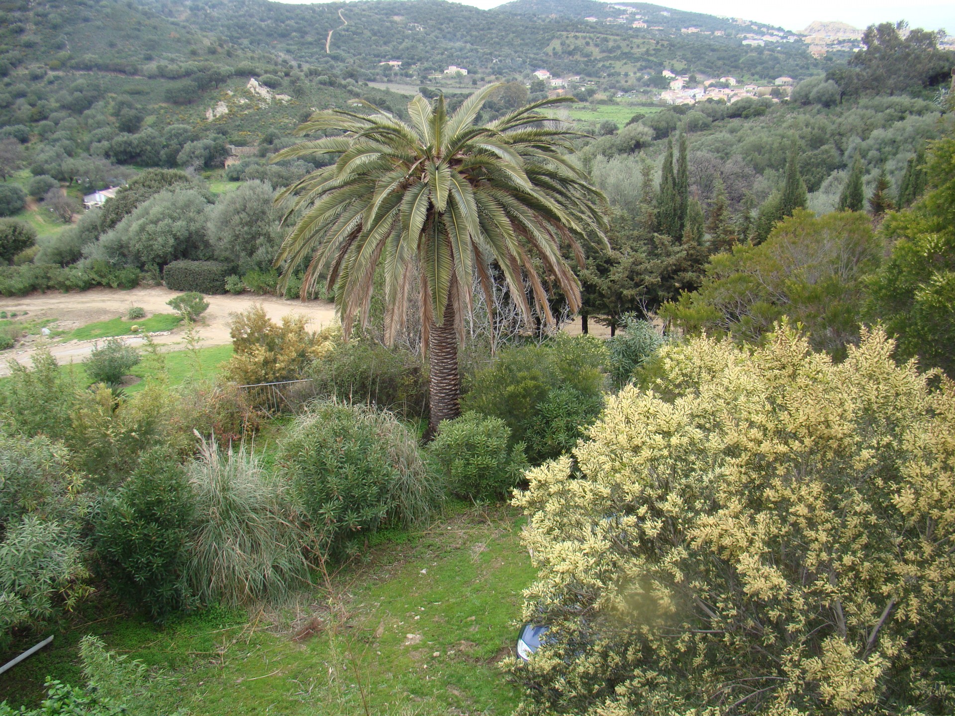 Une partie du jardin