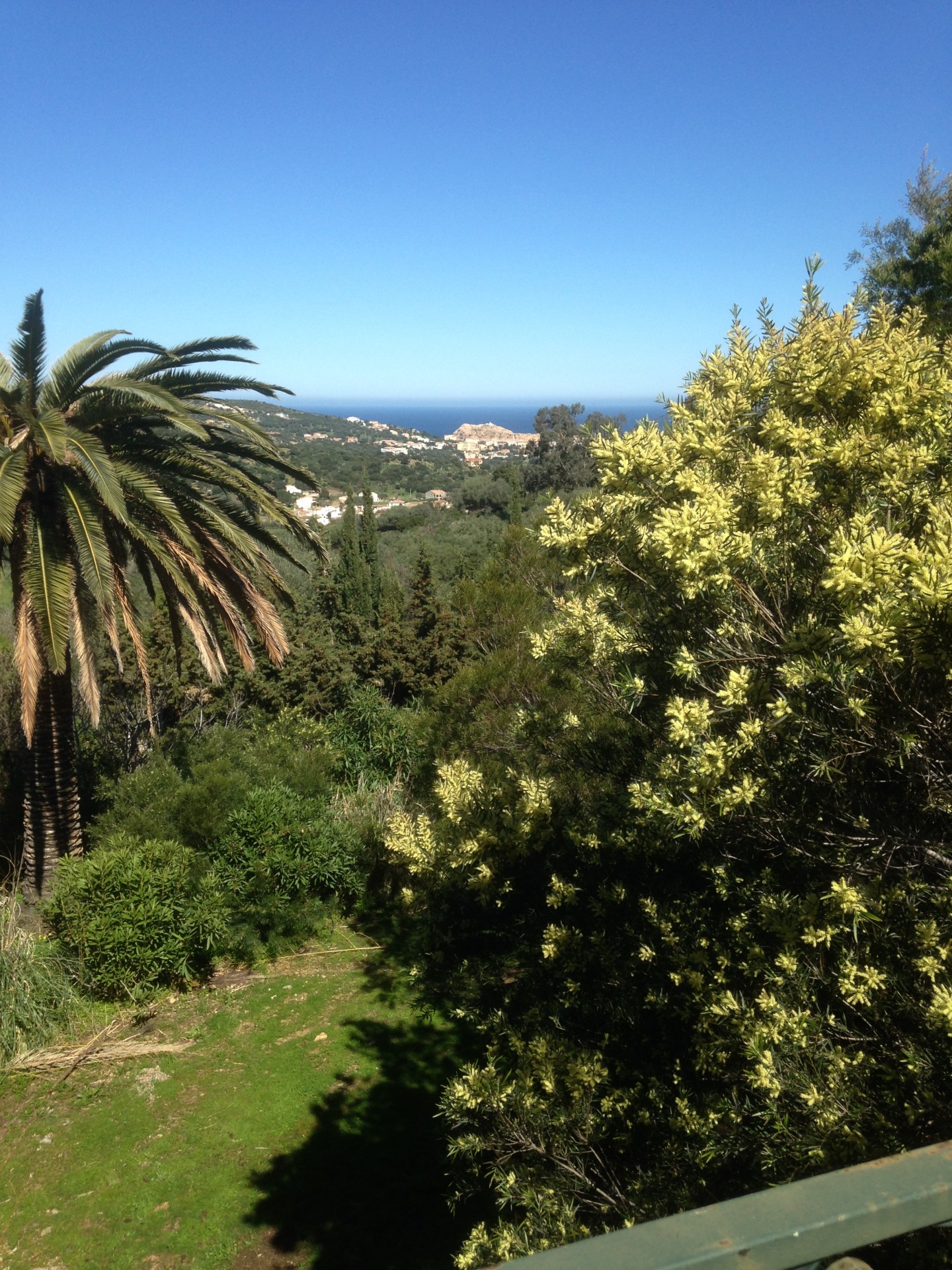 Another view of the garden